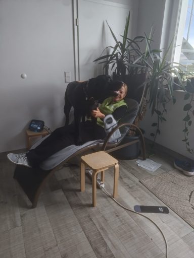 Hunde suchen sehr oft die heilenden Frequenzen der BEMER Matte