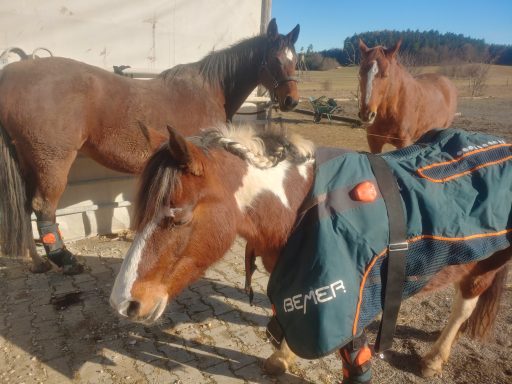 für groß und klein... :)