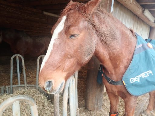 man sieht wie gut es tut....